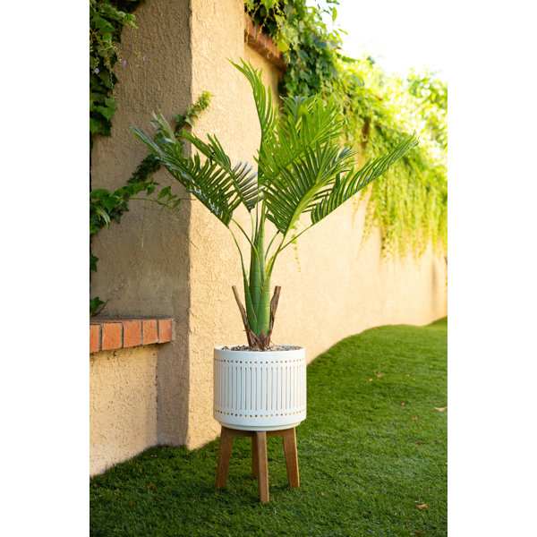 Beachcrest Home Christchurch 48'' Faux Palm Tree in Ceramic Planter